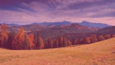 What's ahead for the forestry sector in 2025?